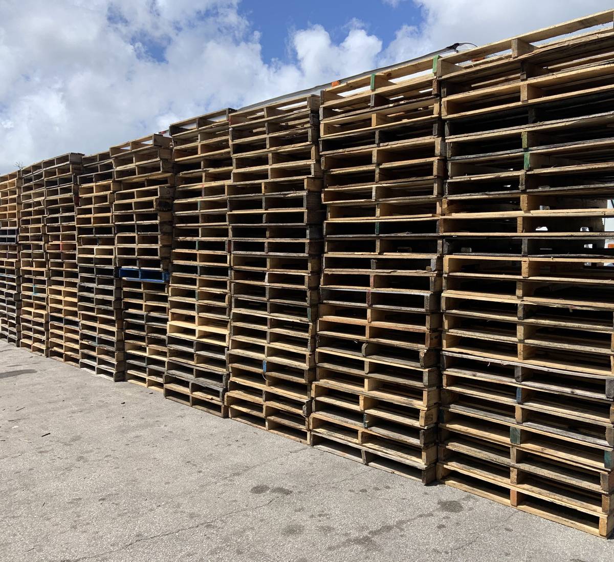 Wall of stacked recycled wood pallets at Florida pallet supplier