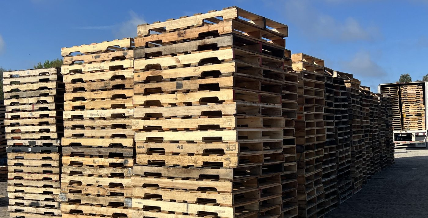 Bulk recycled GMA pallets stacked in rows at Florida outdoor yard